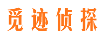 温县市私家侦探